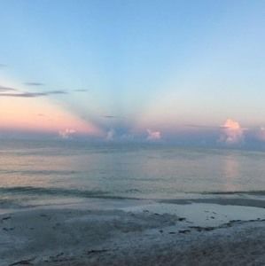 Meet your Posher, Gina